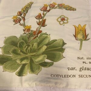 Pottery Barn Textured Fabric Pillow Cushions in Gold, Green, and Brown Set of 2.